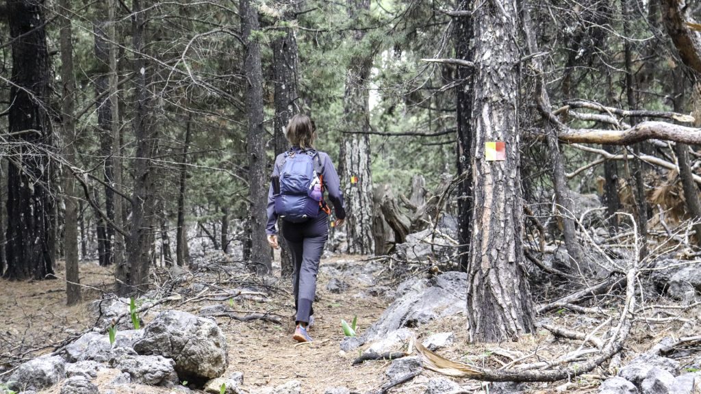 Hiking and trekking in Crete