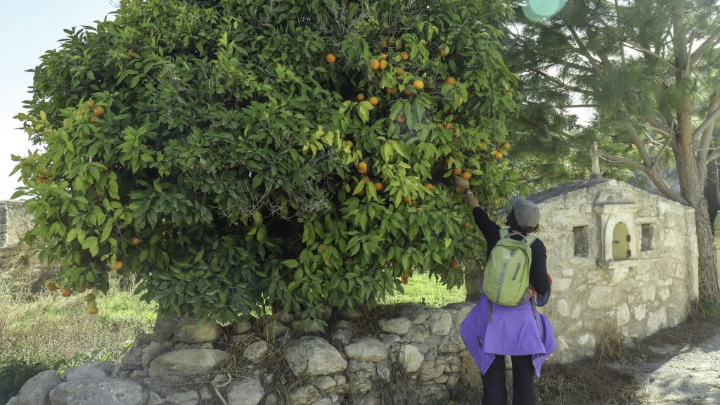 Hiking and trekking in Crete