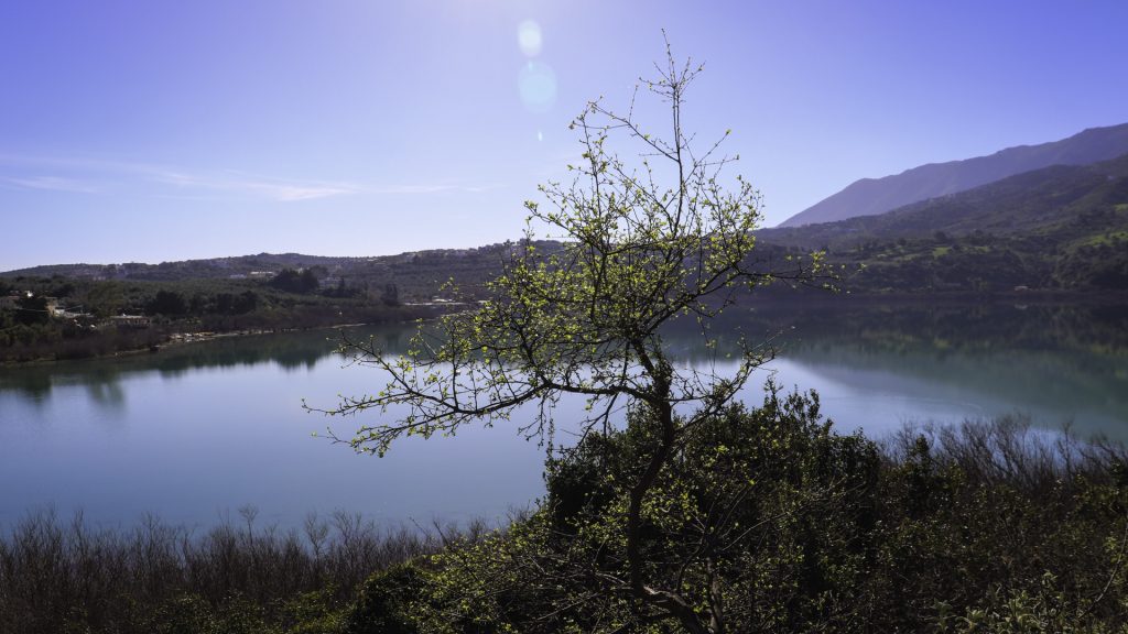 Nature spotting at its finest. Kournas Lake is a protected nature reserve, home to unique Cretan wildlife.