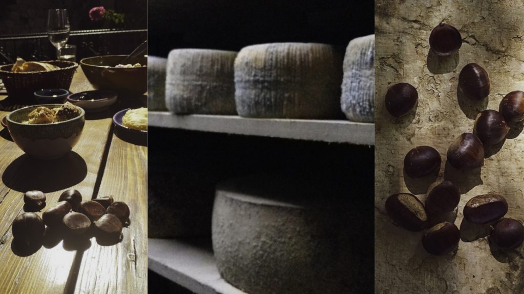 Traditional Cretan table with Ntakos salad, local cheese, and premium olive oil.
