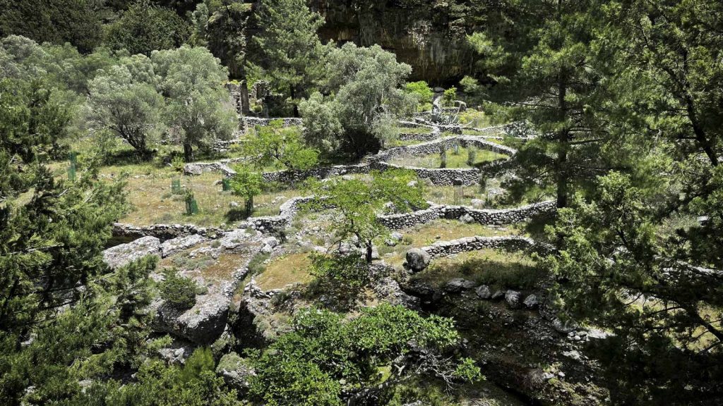 Abandoned stone houses in the historic Samaria Village.