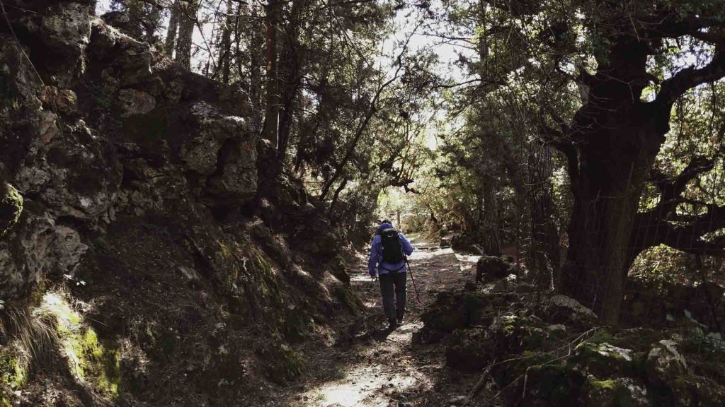 Hiking in Agia Irini gorge in Sougia, part of the Chania trails network